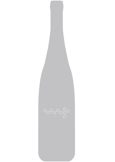 Sauvignon Blanc Zieregg Tement 2020 0,75l